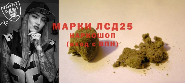 стаф Абинск