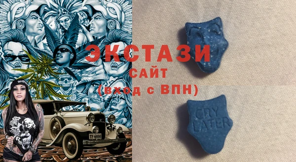 стаф Абинск