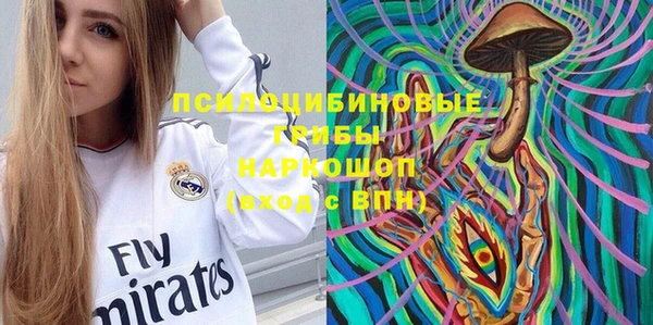 МДПВ Абаза