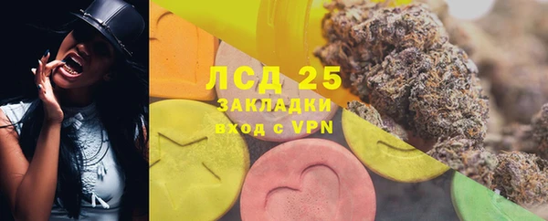 стаф Абинск
